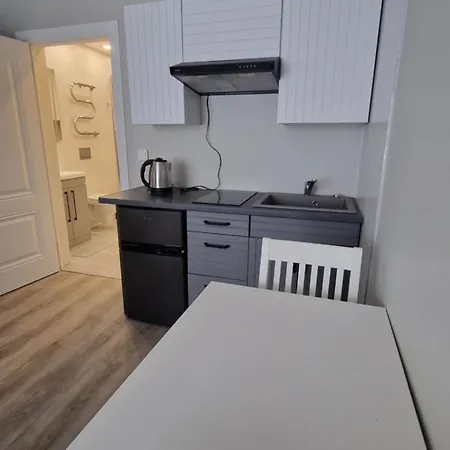 Fabijoniskiu Studija 维尔纽斯