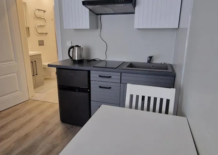 Fabijoniskiu Studija فيلنيوس