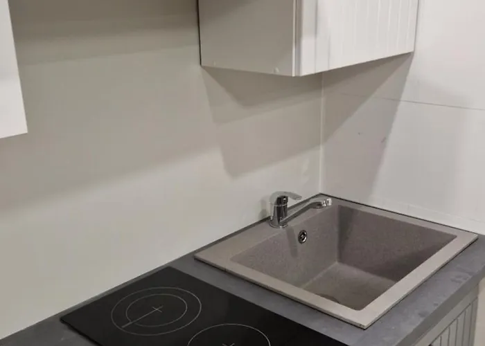 شقة Fabijoniskiu Studija *